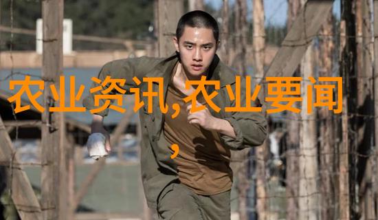 探秘茶文化揭秘一壶浓情的故事