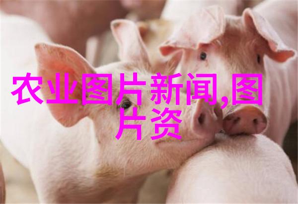 从树上到盘中水果种子的成长历程