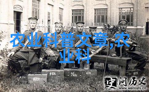 深海精耕剖析高效的海参养殖技术与管理策略