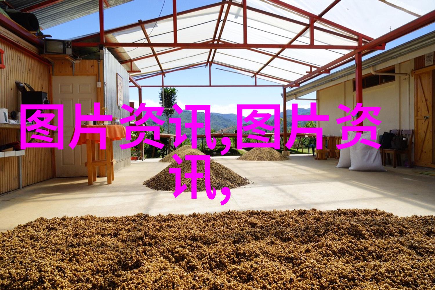 蜂群的智慧揭秘人工分蜂的艺术与技巧