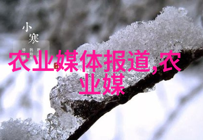 田园春梦农家娘子种田的诗意日记