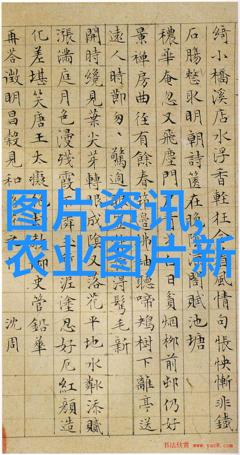 南方种植水果的前景明朗瓜果当家