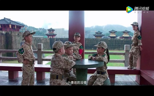 无土不代表没有营养如何通过液体肥料补充植物养分