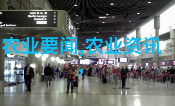 蝗虫养殖技术高效饲养方法与生长环境优化