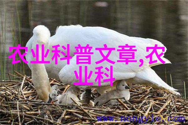 氯消毒系统的核心组件高效二氧化氯发生器技术