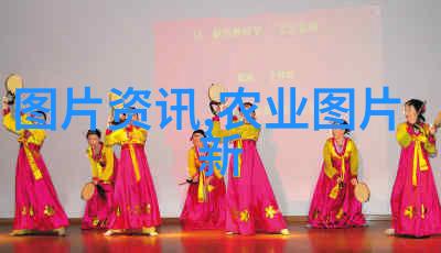 花卉种子播种方法从选择到成活的全过程指南