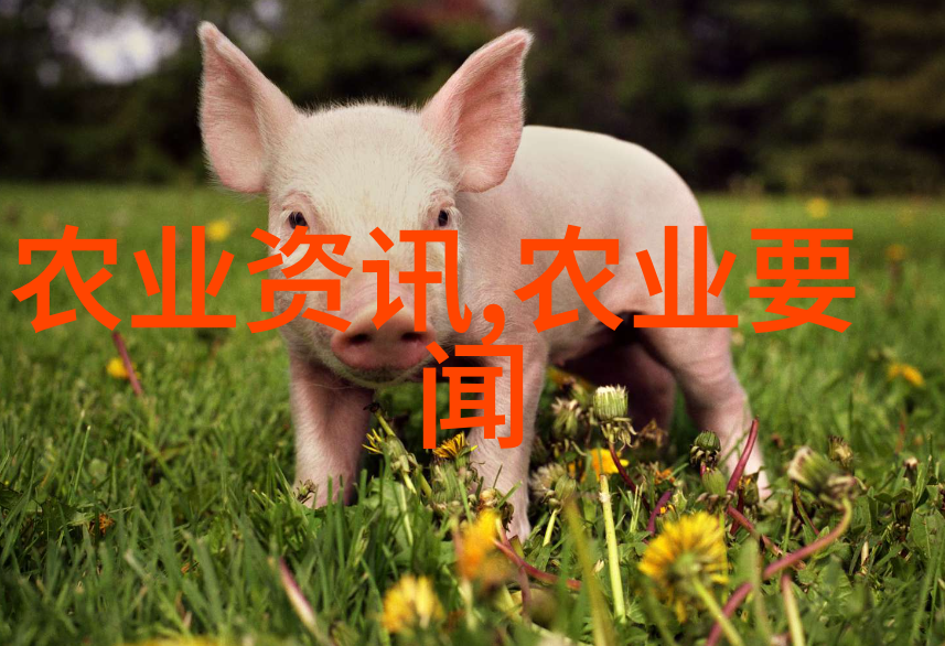 国家二十条新政策我的生活就要变好啦