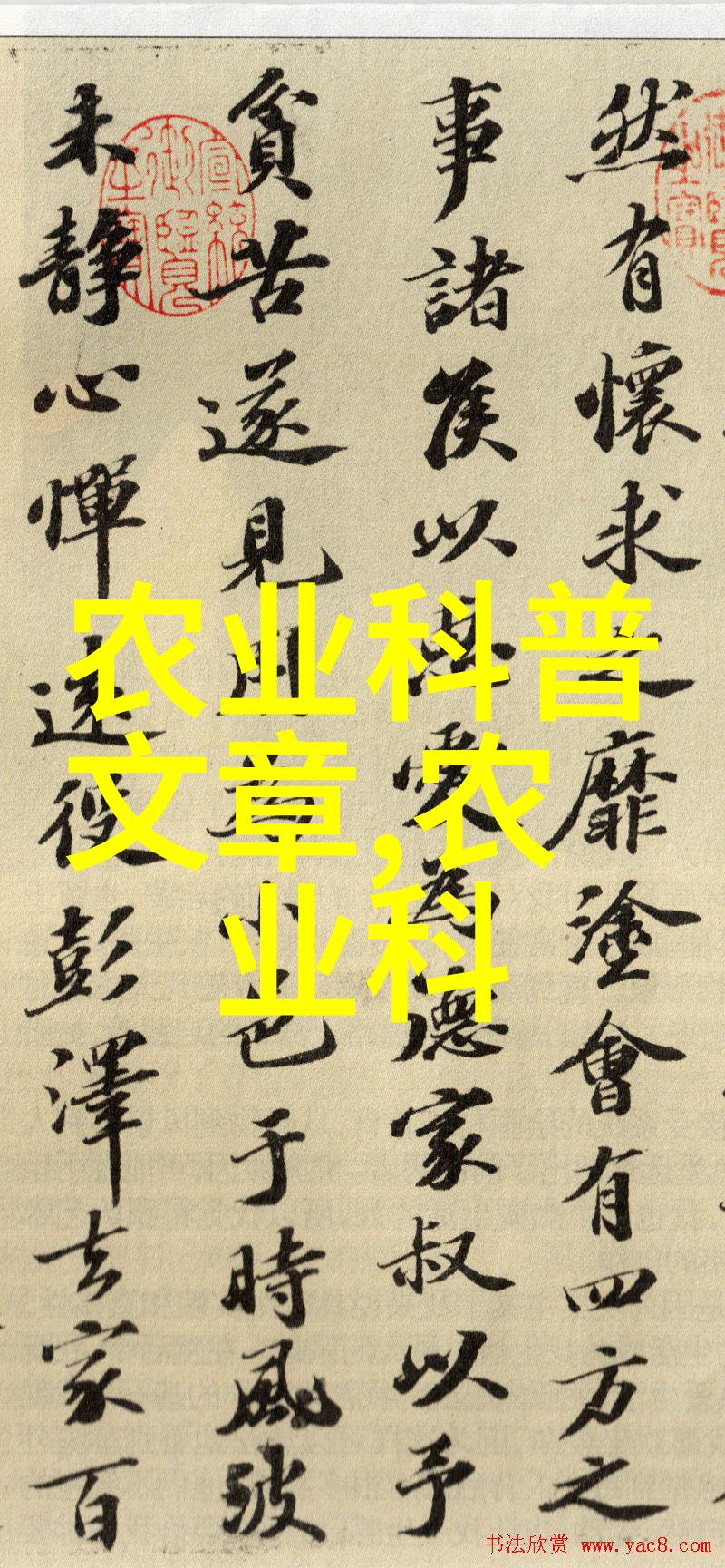 种菜的方法精选技巧与经验分享
