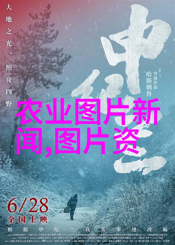 草药之网编织健康的传统