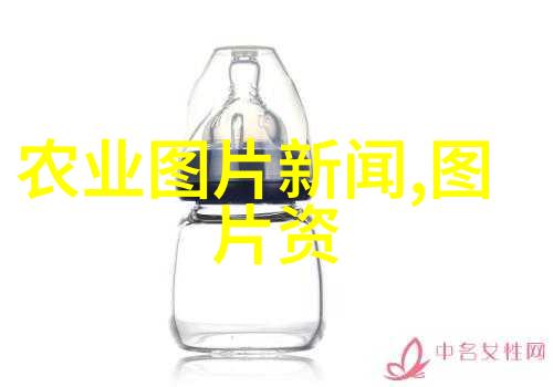 石菖蒲种植技术与栽培地区绿色植物的秘密花园