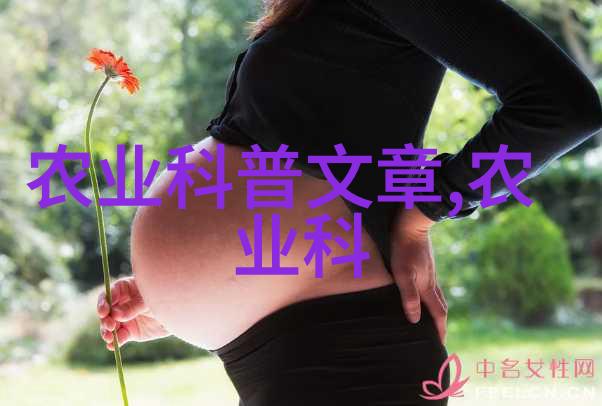 肉兔养殖技术我来教你怎么轻松搞定家里的小兔子