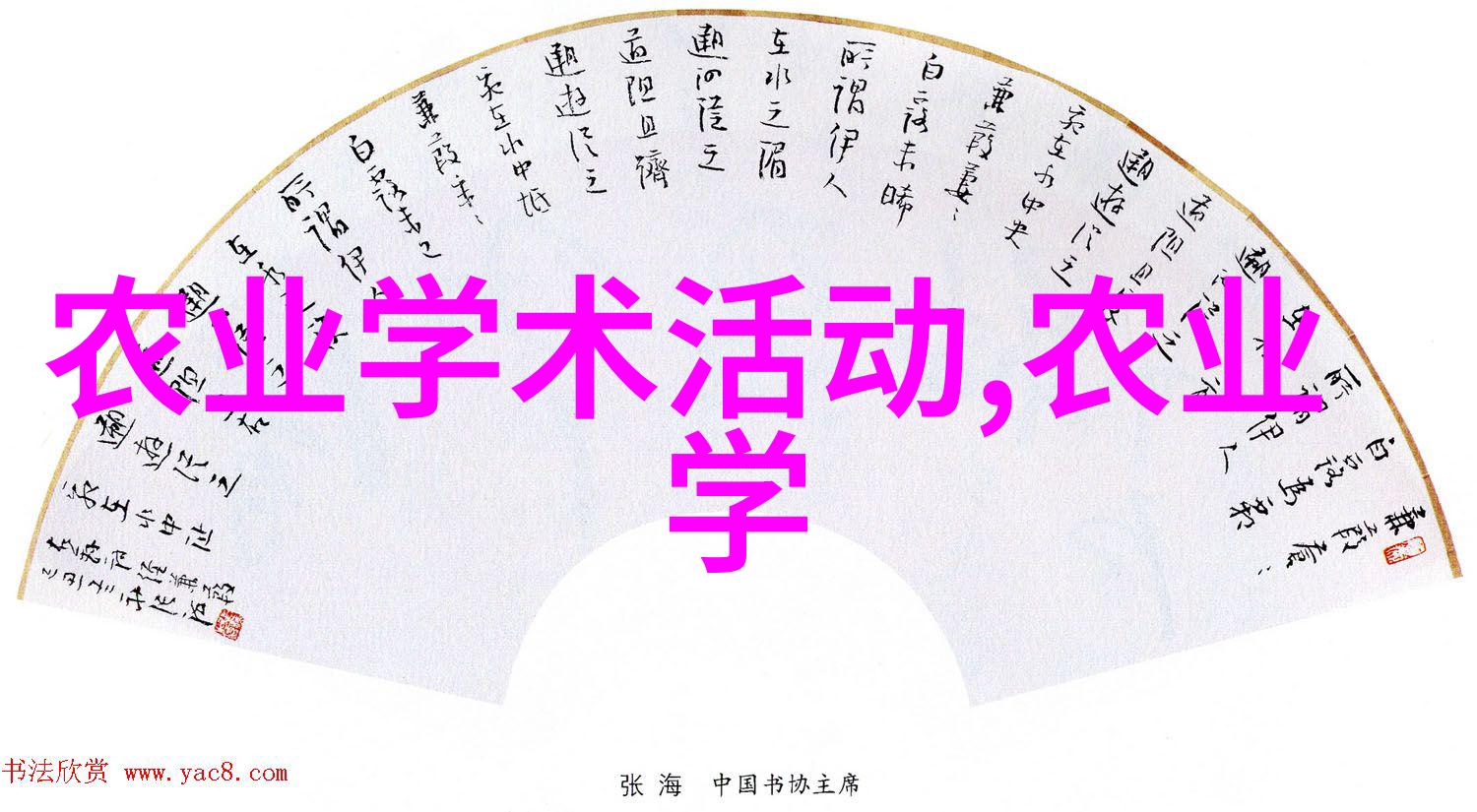 虾养殖技术-高效低成本的淡水虾种类选择与养殖方法