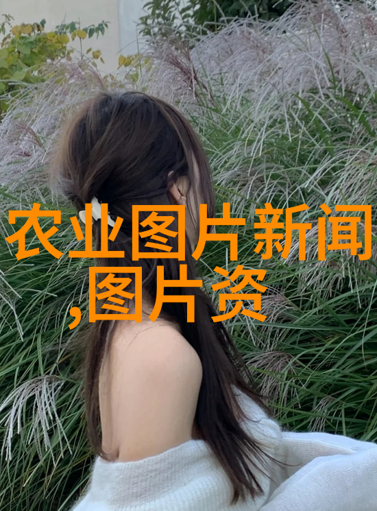 亲近自然享受生活一组生动的果实种子照片集锦