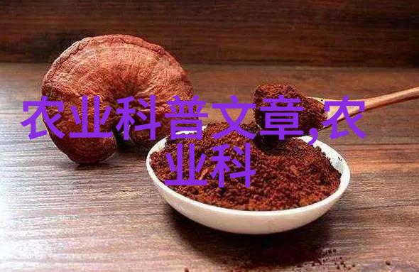 逆袭之花从草根到御园的十大风水奇迹