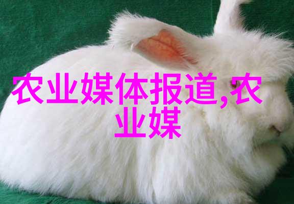 绚彩草海各种草花图片大全