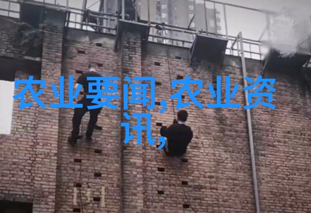 探索未知野生金线莲的珍贵图像与生态秘密