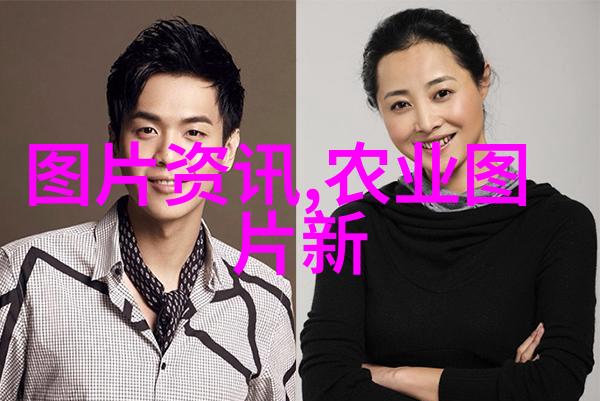 蜜蜂的黄金精准引导蜂群的智慧之作