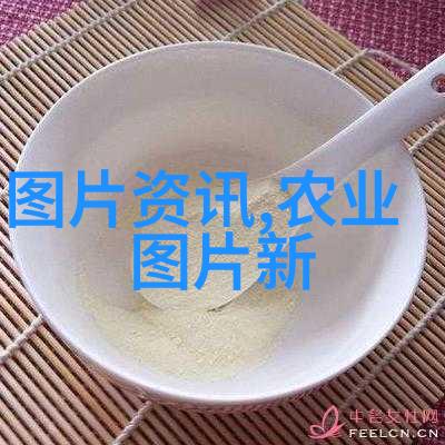 茶叶分类与冲泡技巧权威解析多次冲泡与长时间泡制的不利影响