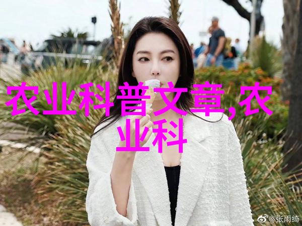 皮带轮损坏时应该如何快速诊断问题并进行修复