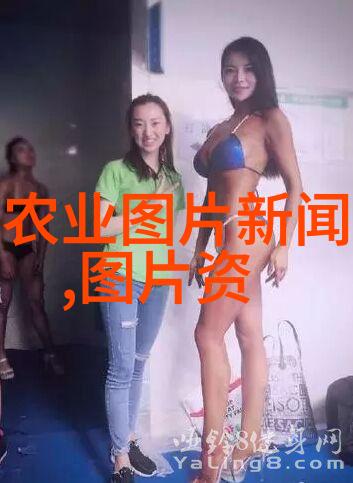 金华苗木网今日采购需求提醒