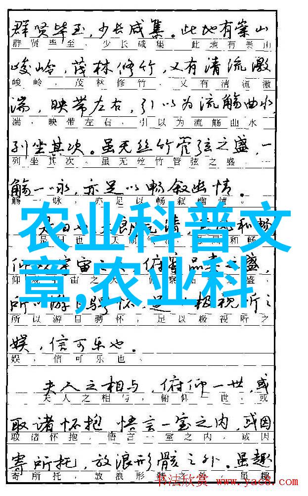 四叔的故事亲情与智慧的编织