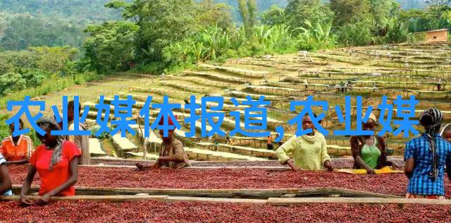 探秘草药世界我是如何从3000种草药中找到治愈自己的秘方的