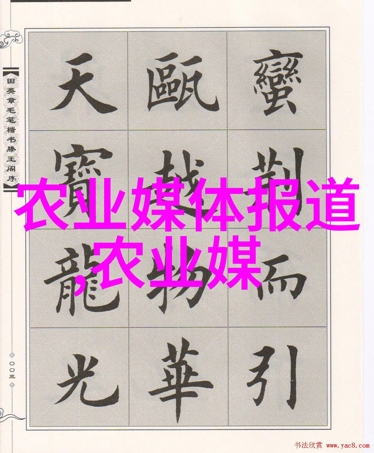 探究现代农业中的纤维作物种植技术与生态可持续性