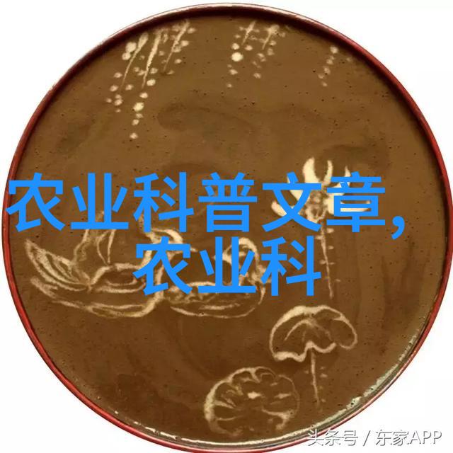 快速致富秘籍一周内无需本金赚取五万元的奇迹方法