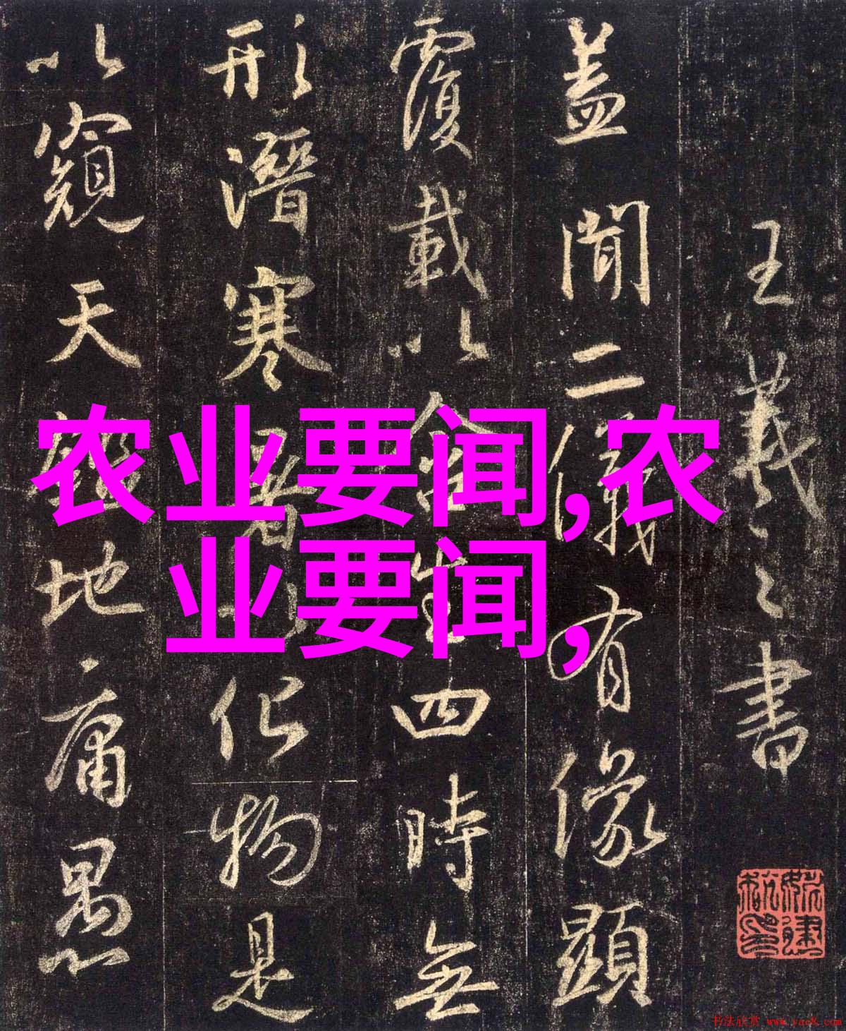 花卉市场批发我在这里的秘密花园鲜花每天半价