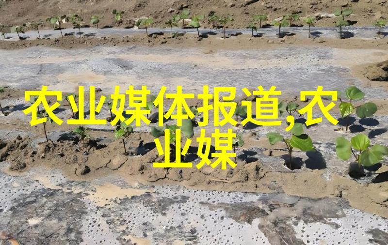 属相福运揭秘各种星座的幸运花朵
