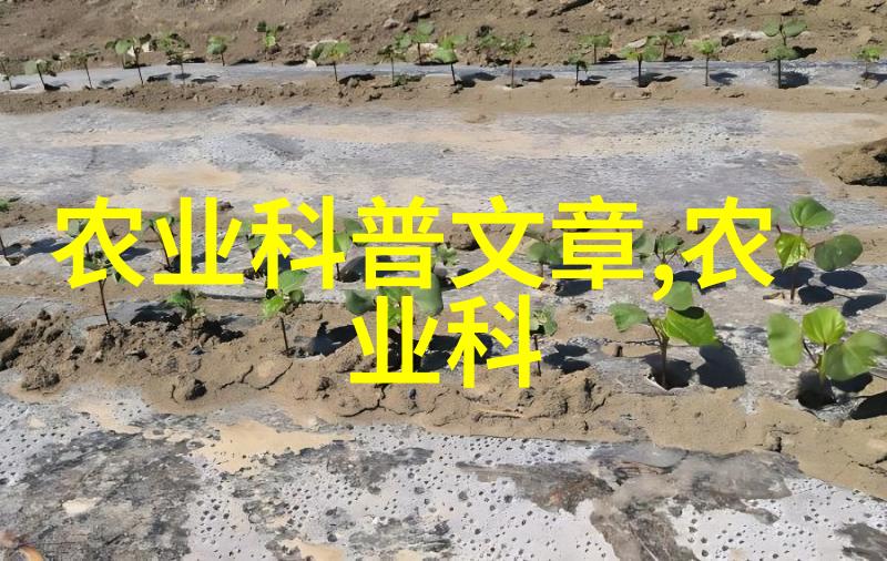 纤尘茶韵女性沉思中的香气与影子