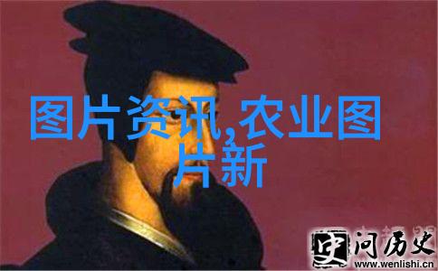 民法典的内容全解析婚姻继承与合同法规新篇章