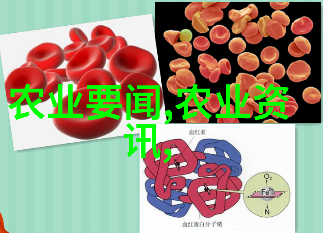 手扶小型旋耕机节能高效的田间伙伴
