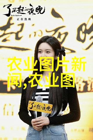 金丝楠苗木种植价格10公分高的优质园艺植物成本