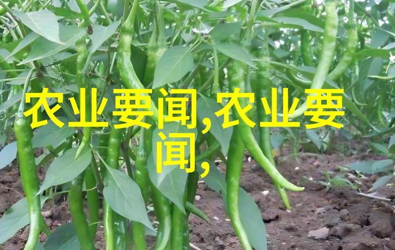 种植大棚的技术我来教你如何在家里搞个小型温室
