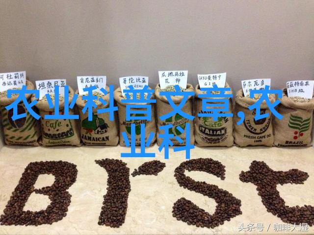 探索药材采集地的选择与评估基于生态学和传统医学的综合研究