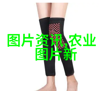 常见树苗品种与其特点介绍