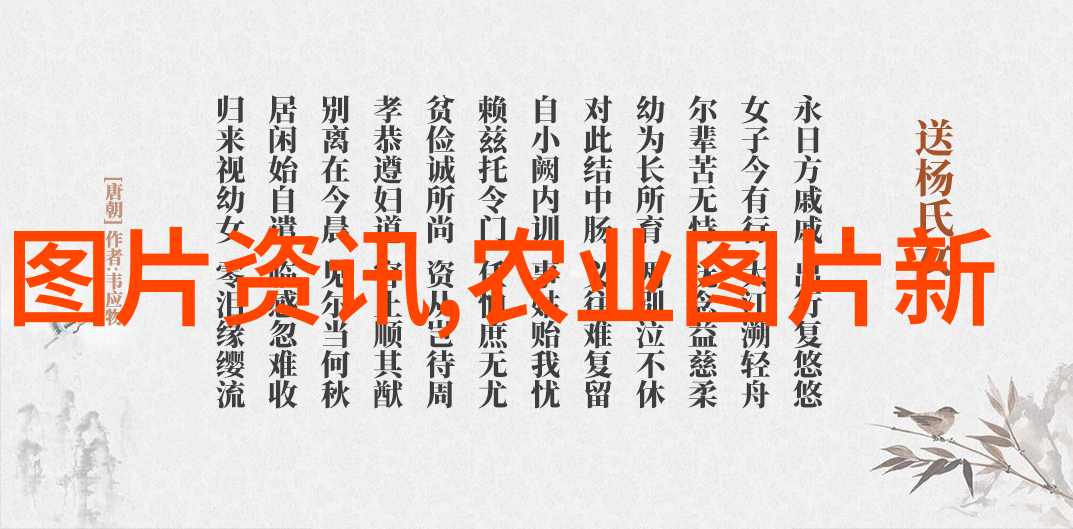 印度夏季普洱与冬季普洱的特点对比分析