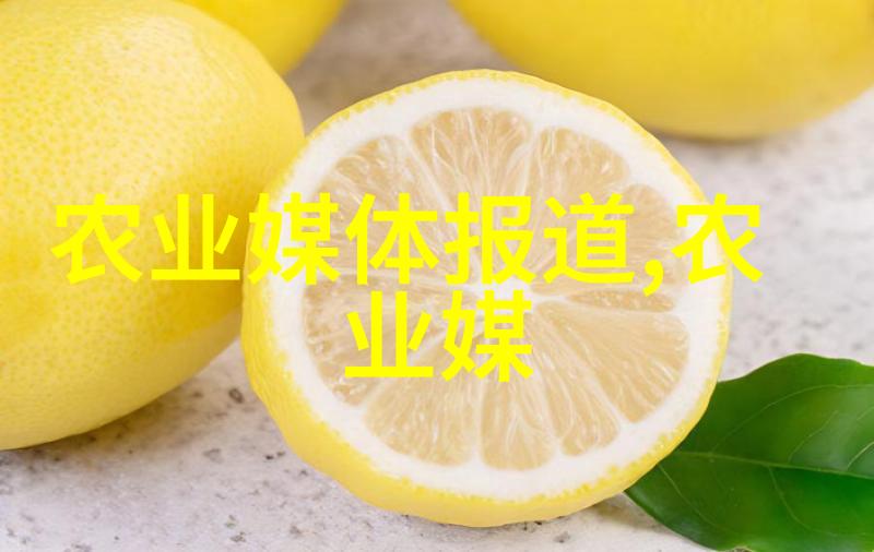 电气化改造如何将传统车间转型为高效能用电气自动化车间