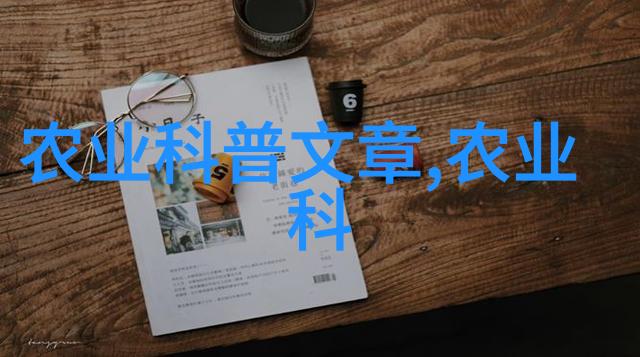 蔬菜超市丰富选择健康生活的绿色源泉