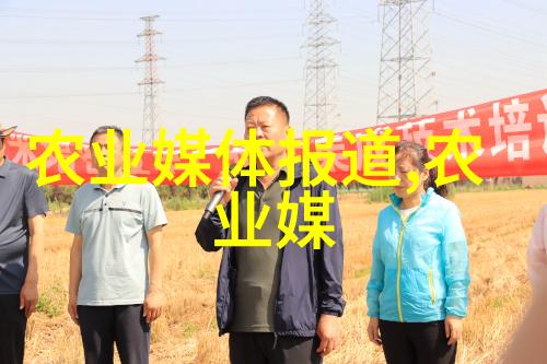 探究一亩田的可靠性农业生产潜力与环境因素的互动分析