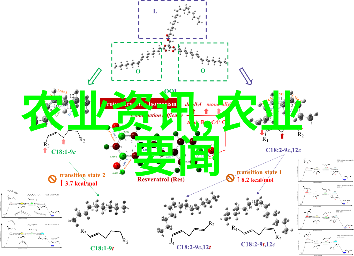 遗传与发育所农业资源中心举办第十四届公众科