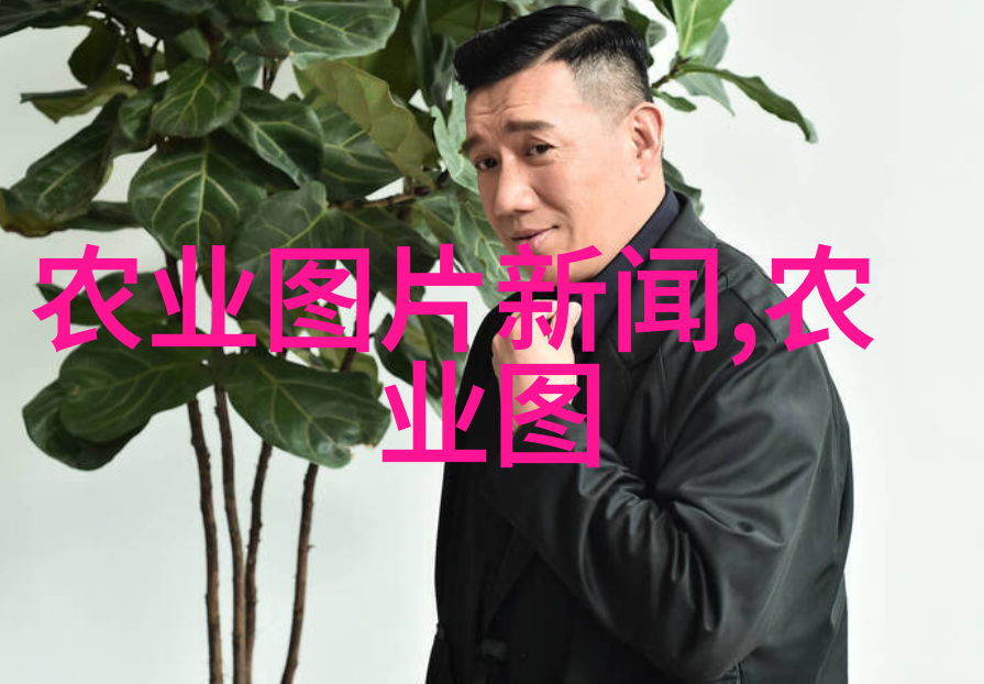如何有效提高泥鳅的产量和质量