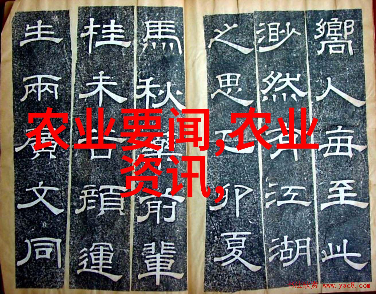 农业种什么短快最赚钱-快速致富的最佳农作物选择揭秘高效农业的秘密