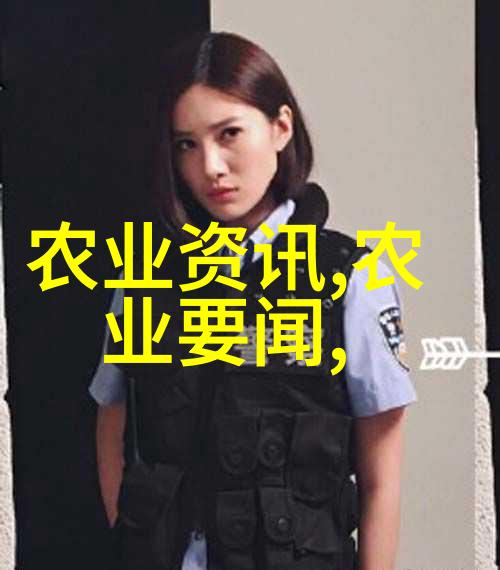 法律知识内容大全法则与实务的完美结合