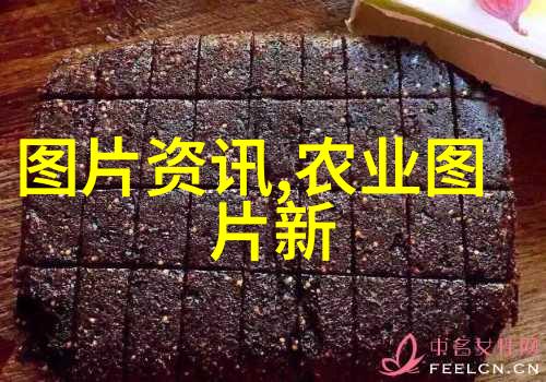 农民养殖什么能挣钱-丰收金路探秘高收益的农民养殖产业