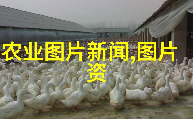 药膳生活新潮流哪些中药材将在2024年迎来暴增期
