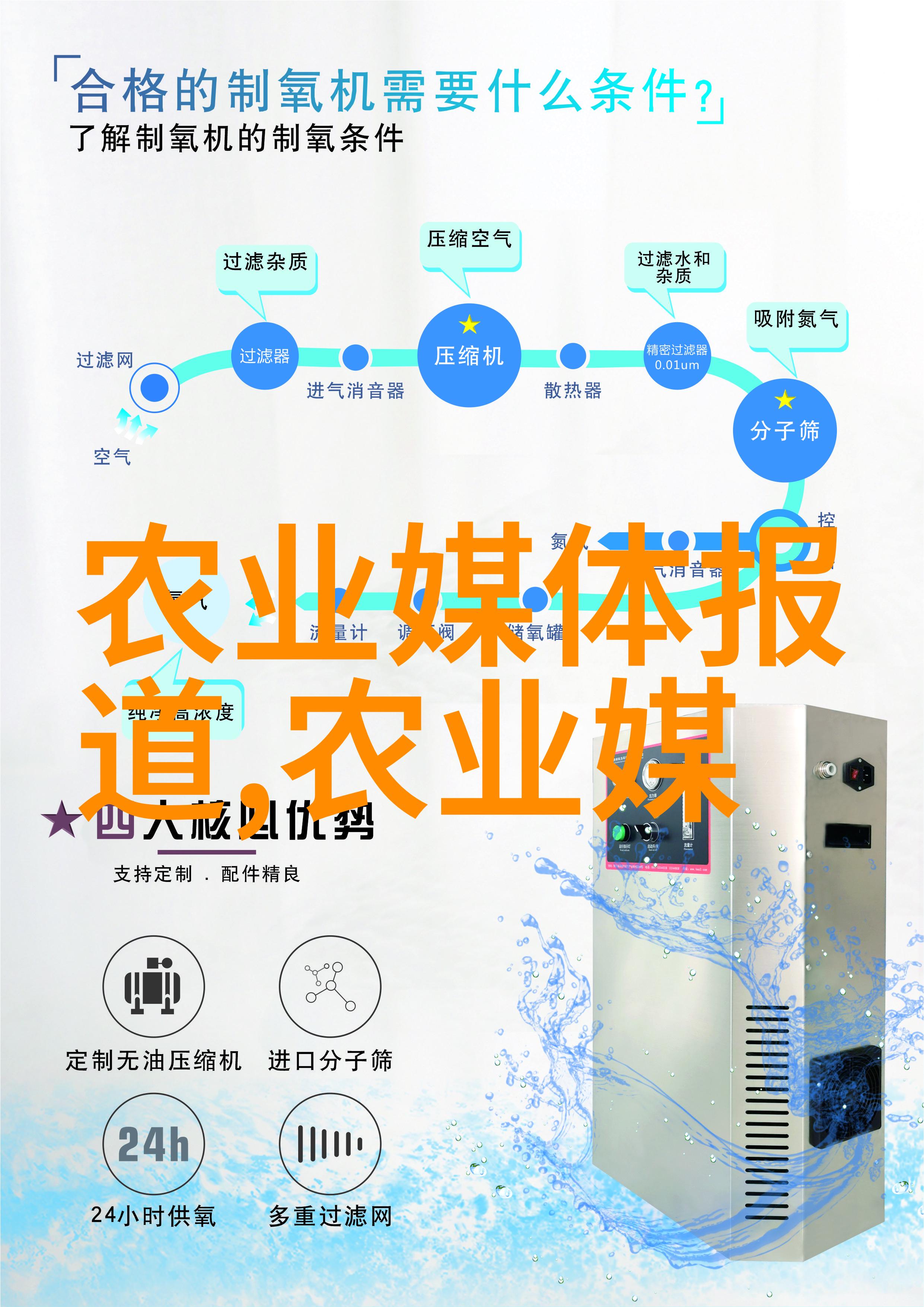 10年银杏树多少一颗-岁月静好探秘十年成长的银杏树价值