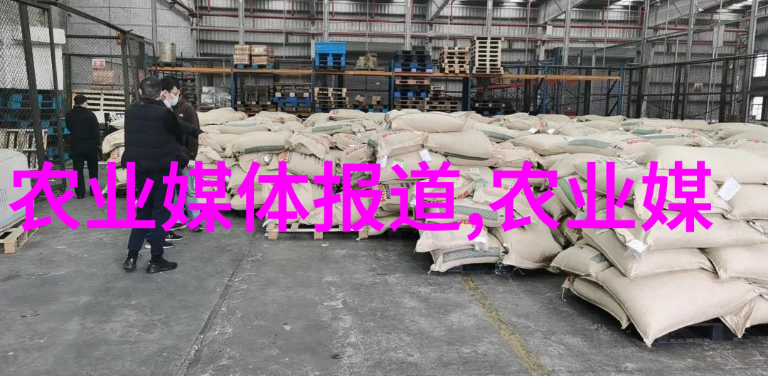 黄瓜种植技术亲自种一亩子从土壤到收割的全过程