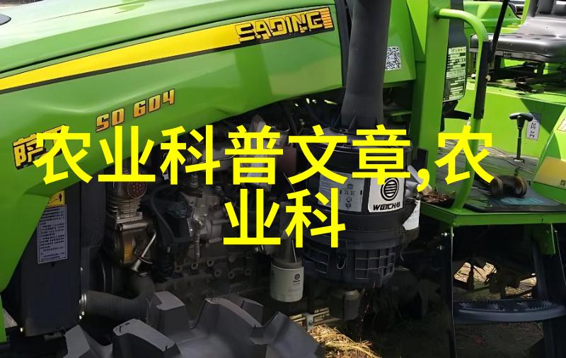 小学生用坤巴桶小学生活的趣事